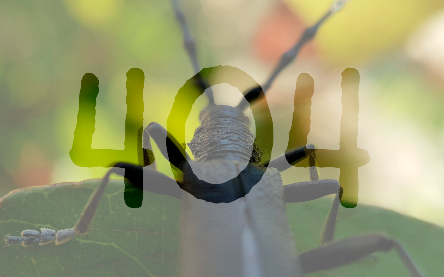 Capricorne sur une feuille page 404