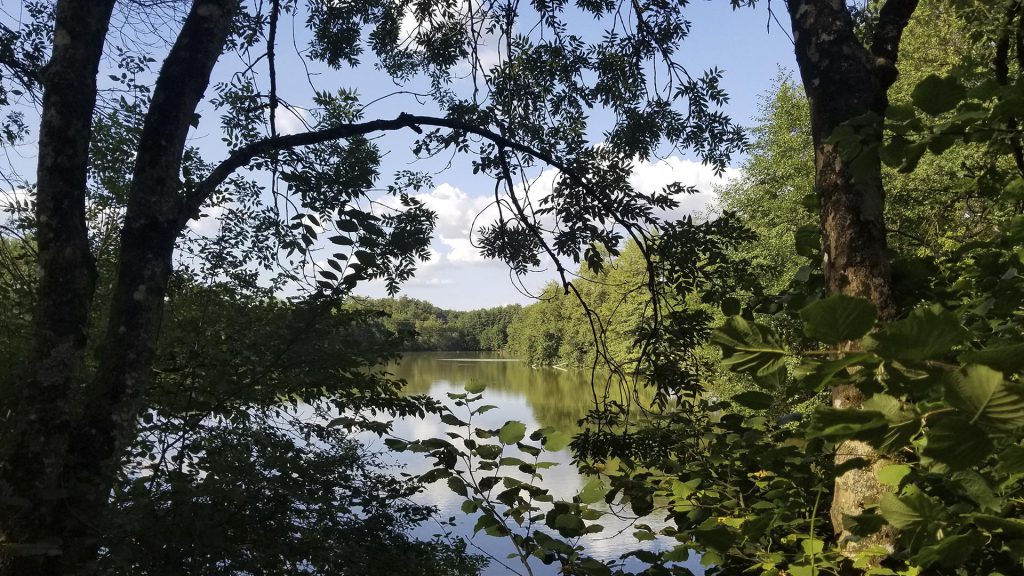 étang en Indre et Loire
