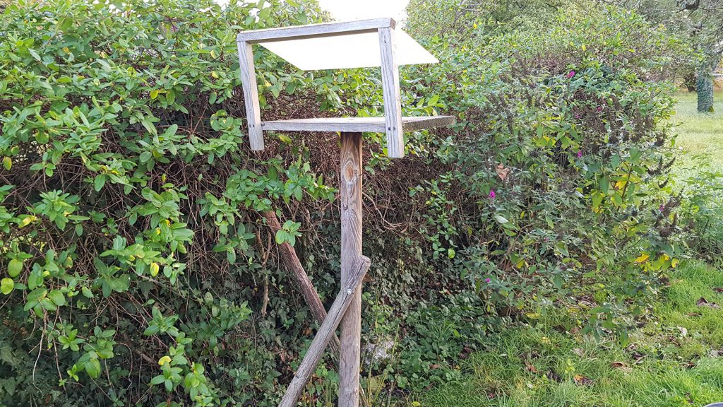 mangeoire à graines