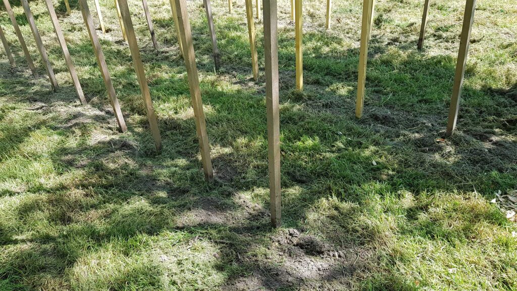 préparation_tomates