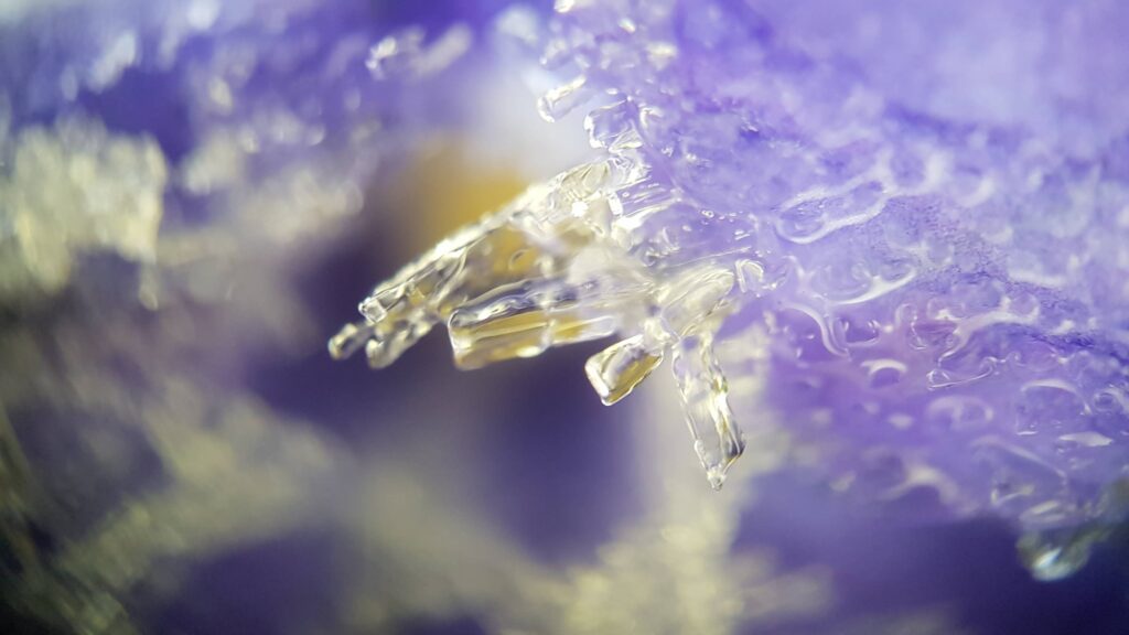 cristaux de glace