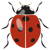 coccinelle