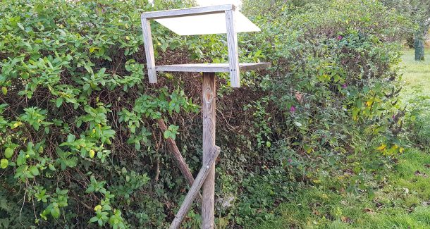 mangeoire à graines