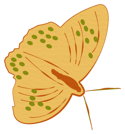 papillon 3